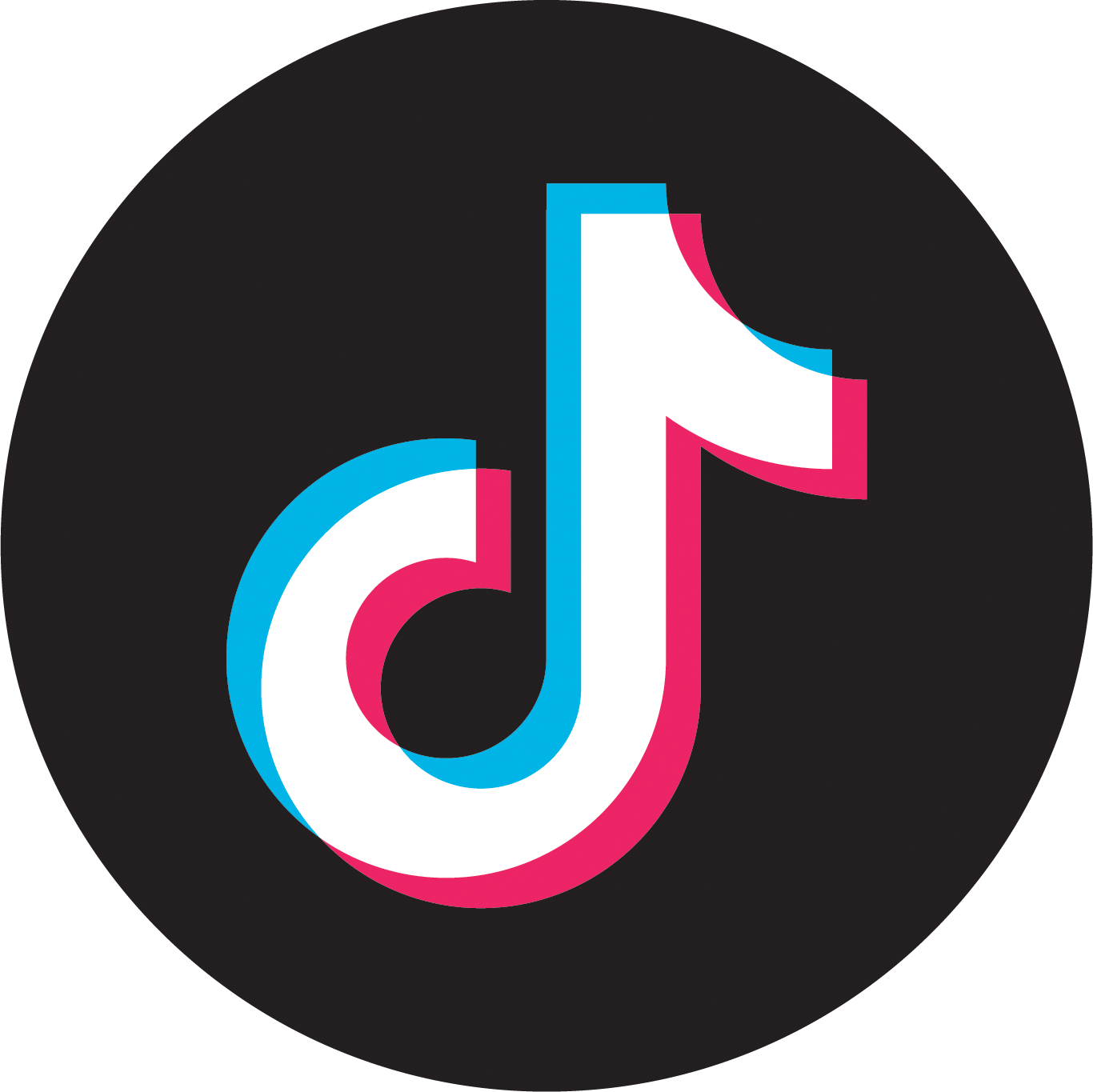 TikTok Icon